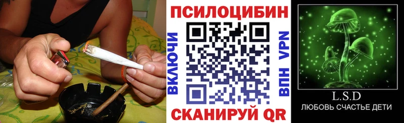 Псилоцибиновые грибы Psilocybine cubensis это официальный сайт Красавино